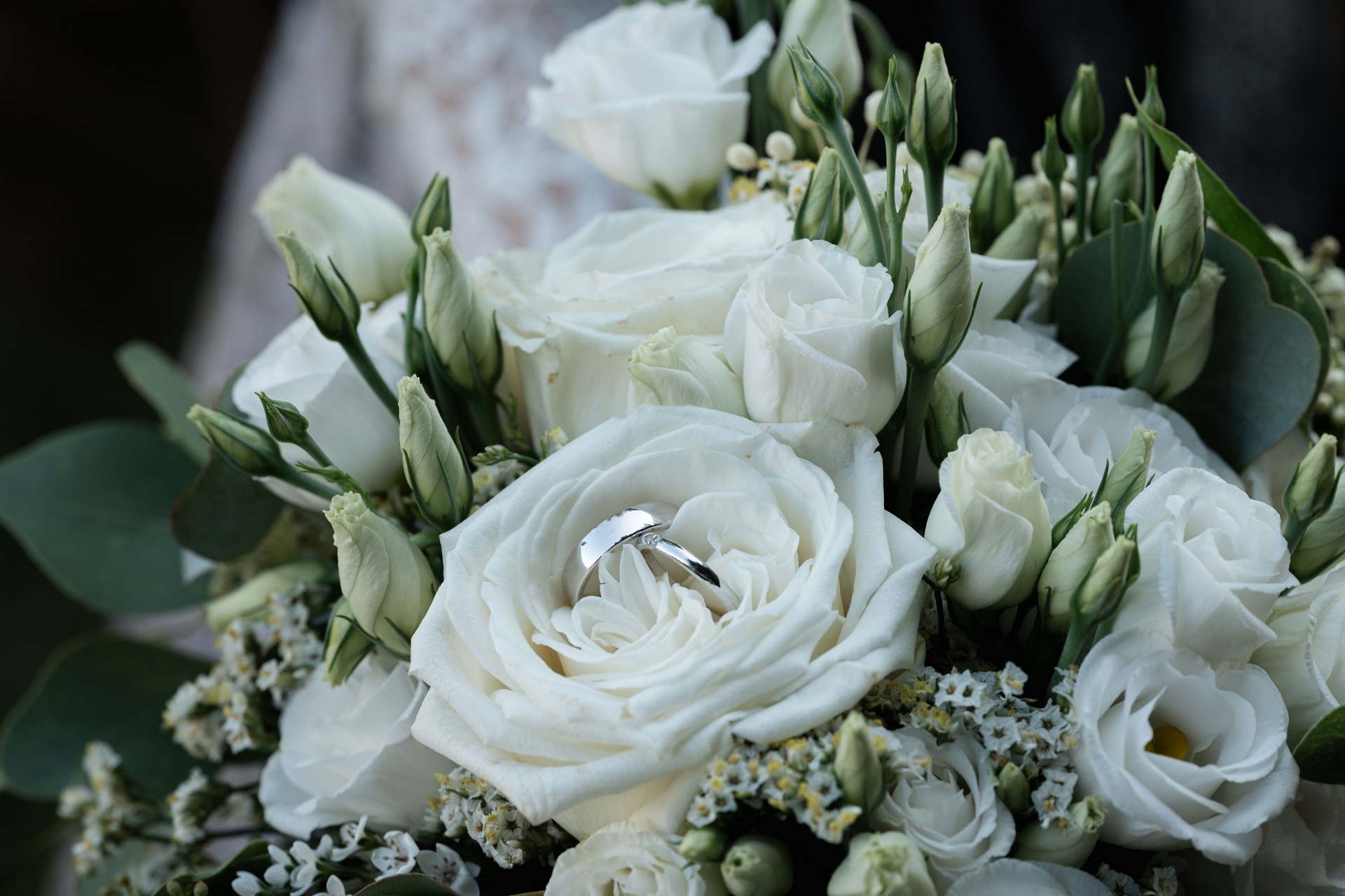 Weiße Rosen